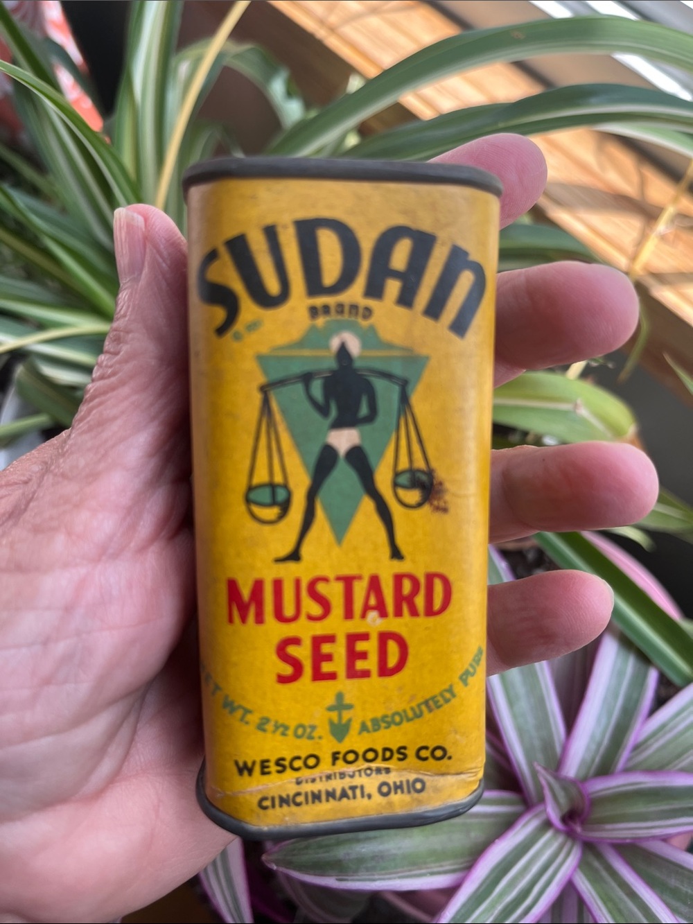 Vtg SUDAN Mustard Seed Spice Tin 2.5oz WESCO FOODS Cincinnati,OH  EMPTY